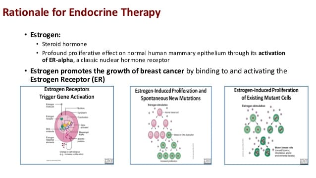 Adjuvant Endocrine Therapy For Postmenopausal Breast Cancer