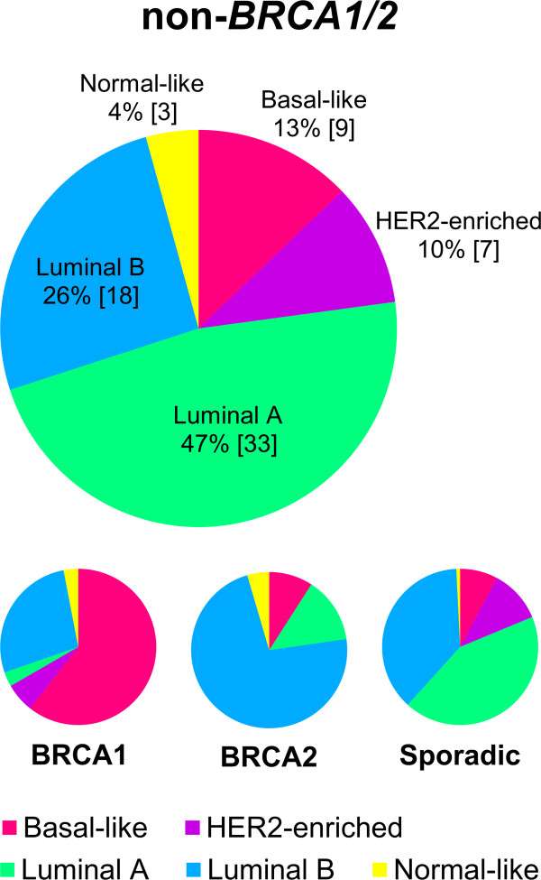 Association between hereditary breast cancers and molecular subtypes ...