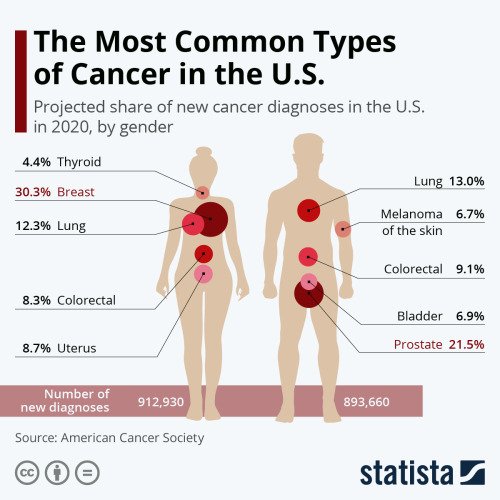 Breast Cancer is the most common form of cancer in women ...