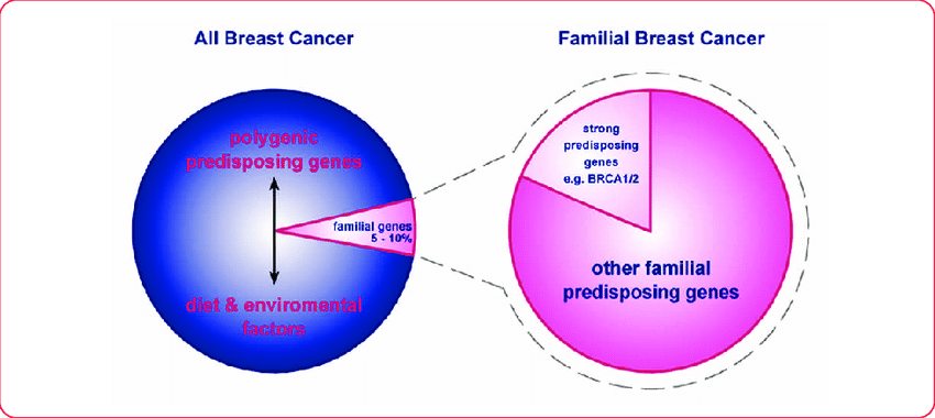 Proportion of breast cancer caused by high