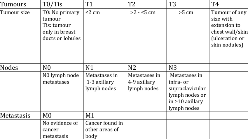 TNM staging for breast cancer. Subcategory within T1, T2, N1 etc. are ...