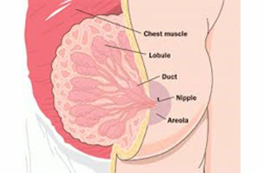 Triple âNegative Breast Cancer